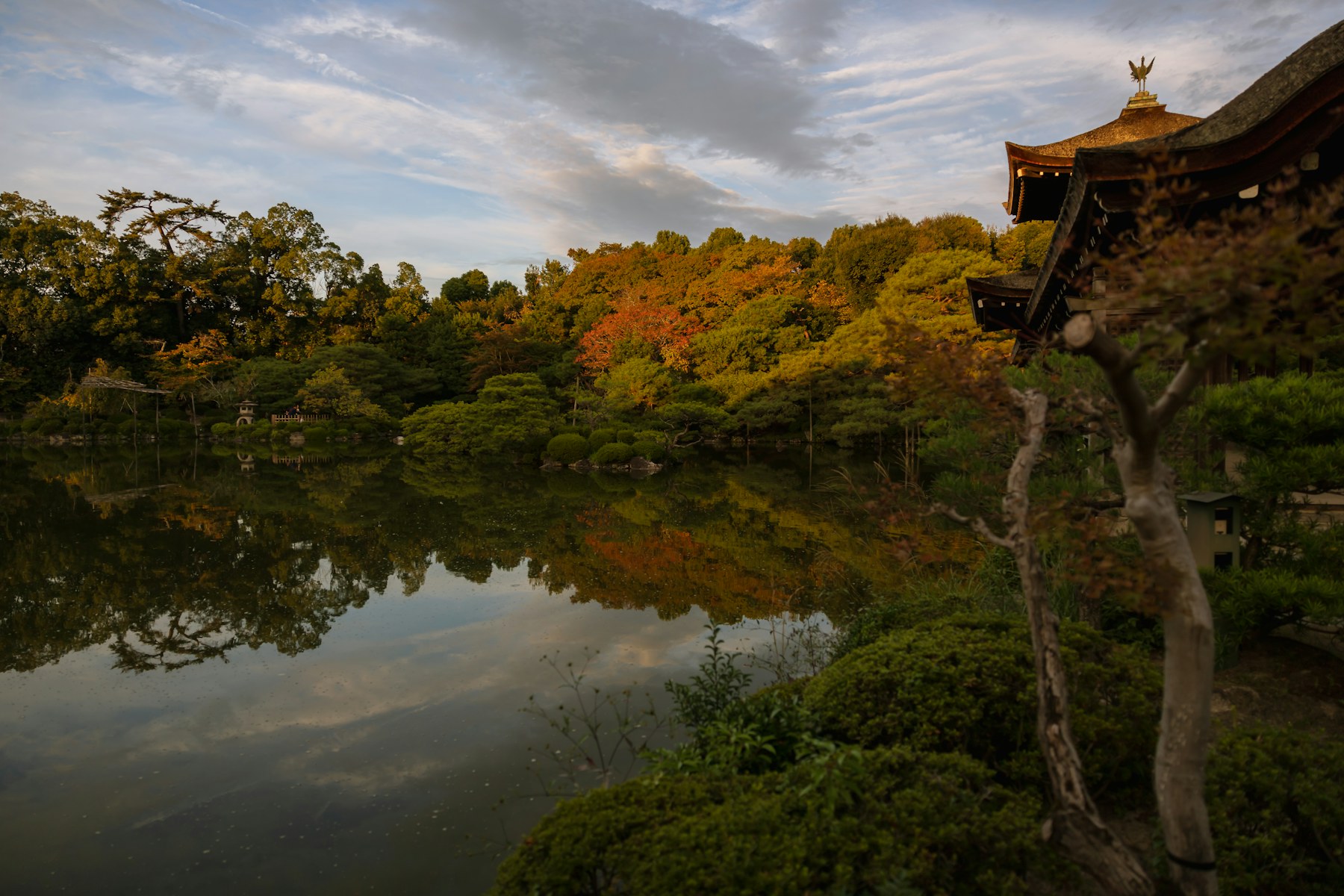 Jardín japonés reflejado en un estanque